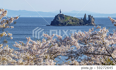 鯛島（むつ市脇野沢） 50272645