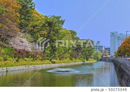 【愛媛県松山市】　松山城堀之内 50273349