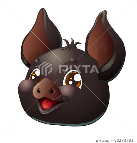 Lovely pink pig head on white isolated Lovely pink pig head on white isolated 50273732