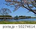 津軽富士見湖　鶴の舞橋と桜（青森県北津軽郡鶴田町） 50274614