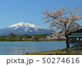 津軽富士見湖から見る岩木山と桜（青森県北津軽郡鶴田町） 50274616