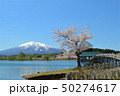 津軽富士見湖　鶴の舞橋と岩木山と桜（青森県北津軽郡鶴田町） 50274617