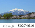 津軽富士見湖　岩木山と桜（青森県北津軽郡鶴田町） 50274619