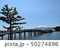 津軽富士見湖　鶴の舞橋と岩木山と桜（青森県北津軽郡鶴田町） 50274896