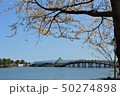 津軽富士見湖　鶴の舞橋とと桜（青森県北津軽郡鶴田町） 50274898