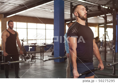 Group of Sporty Athletic Men Training With Barbells. 50275295