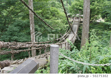 かづら橋 50275302
