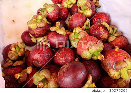 広東省の公共市場 50276295