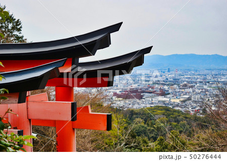 伏見稲荷(稲荷山)からの京都の景色 伏見稲荷(稲荷山)からの京都の景色 50276444
