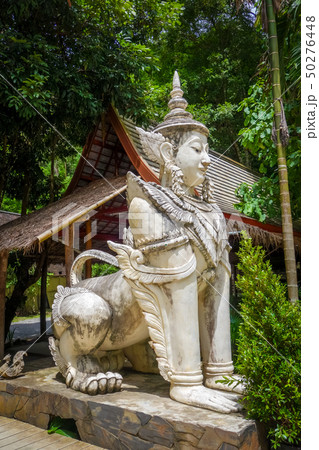 Statue in Wat Palad temple, Chiang Mai, Thailand 50276448