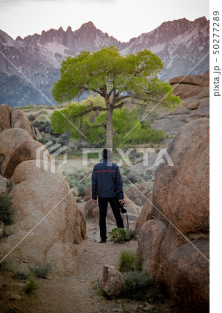 Male tourist enjoy travelling in Alablama Hills 50277289