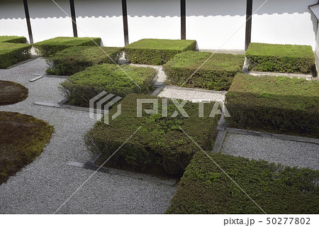 東福寺　方丈庭園　西庭 50277802