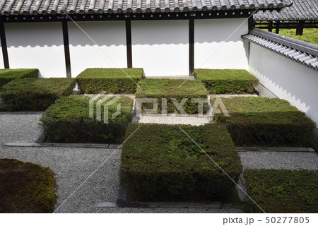 東福寺　方丈庭園　西庭 50277805