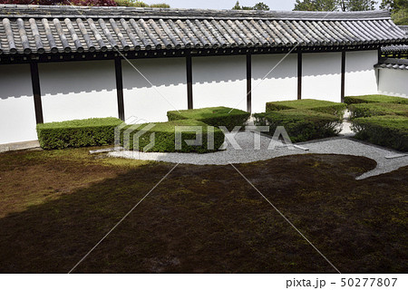 東福寺　方丈庭園　西庭 50277807
