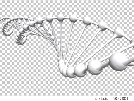 DNA double helix 3D illustration - Stock Illustration [50278013] - PIXTA