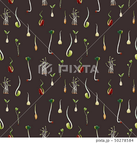 Watercolor beans peas seeds sprouts pattern Watercolor beans peas seeds sprouts pattern 50278584