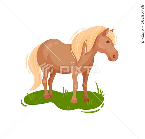 Pony Grazing In The Meadow Vector Illustration のイラスト素材