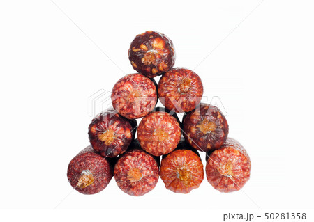 selection salami sausages isolated on white selection salami sausages isolated on white 50281358