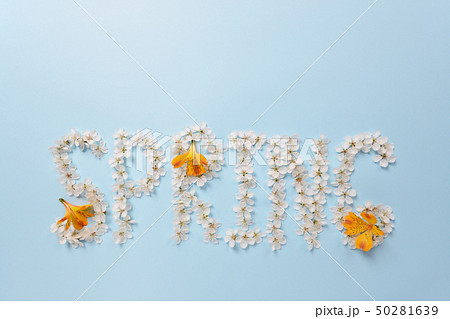 The word Spring made from white cherry blossom 50281639