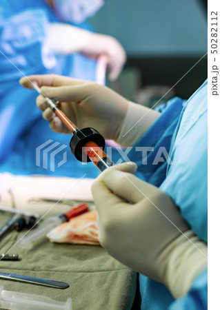 Hands Holding Syringe and Transfer Fat with Nano Fat Transfer Tool in Operation Room Hands Holding Syringe and Transfer Fat with Nano Fat Transfer Tool in Operation Room 50282112