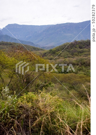 Copper Canyon - Mexico Copper Canyon - Mexico 50282379
