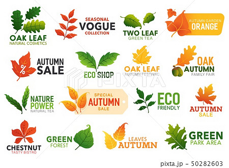 Gree eco leaf, food and seasonal promo icons Gree eco leaf, food and seasonal promo icons 50282603