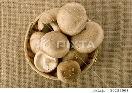 椎茸 50282963