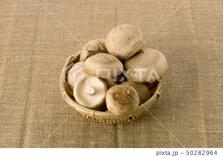 椎茸 50282964