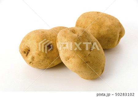 ジャガイモ ジャガイモ 50283102