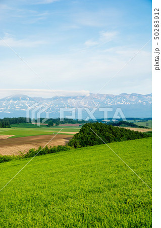 北海道の田園風景 美瑛町 北海道の田園風景 美瑛町 50283912
