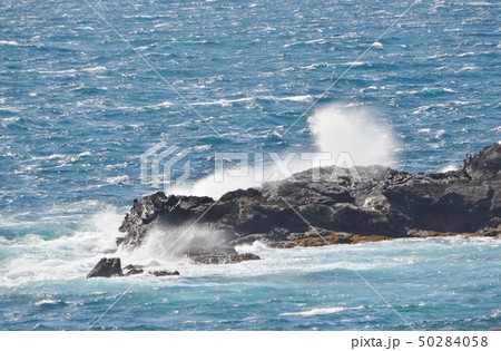 海 50284058