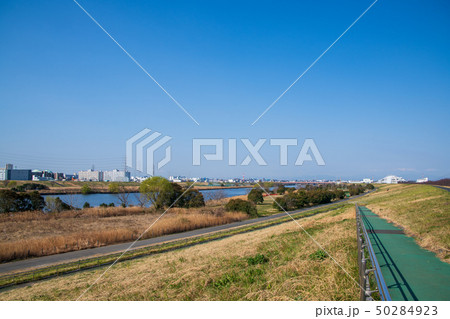 戸田公園　荒川堤　上流篠目橋方面 50284923