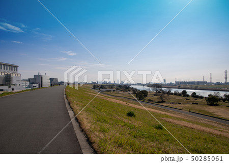 戸田公園 荒川堤 下流戸田橋方面 戸田公園 荒川堤 下流戸田橋方面 50285061