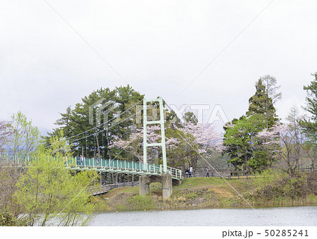 青森県立芦野公園の風景（青森県五所川原市） 50285241