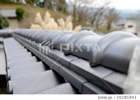 冠瓦 冠瓦 50285943