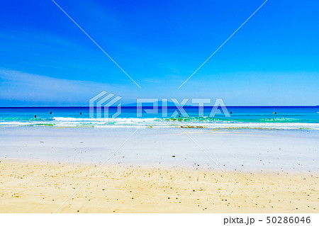 [静岡県] 伊豆白浜海岸 50286046