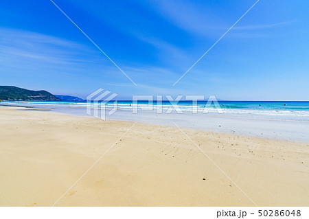 [静岡県] 伊豆白浜海岸 50286048