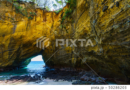 [静岡県] 南伊豆の自然　竜宮窟 50286203