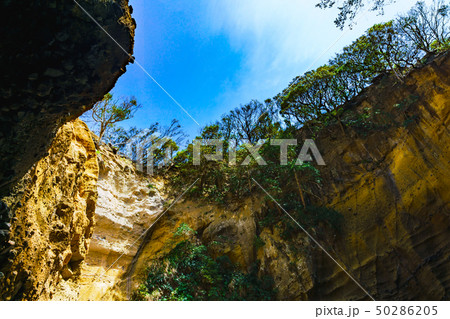 [静岡県] 南伊豆の自然　竜宮窟 50286205