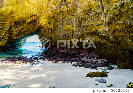 [静岡県] 南伊豆の自然　竜宮窟 50286215