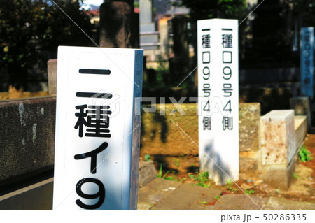 青山霊園の風景 青山霊園の風景 50286335