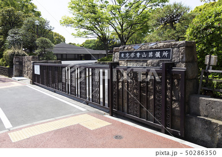 青山霊園 50286350