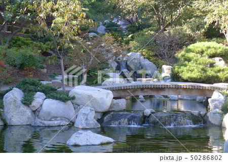 バルボアパーク 姉妹都市友好 日本庭園の小さな木橋 50286802