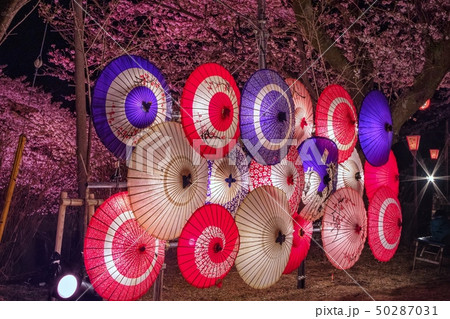 鬼怒川温泉夜桜大宴会 鬼怒川温泉神社 50287031