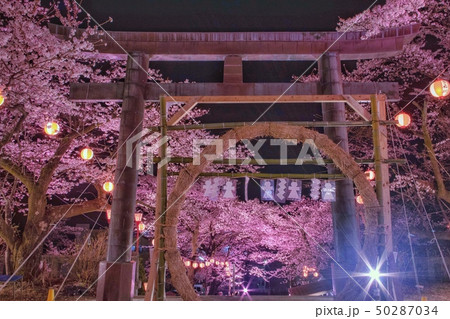 鬼怒川温泉夜桜大宴会 鬼怒川温泉神社の写真素材