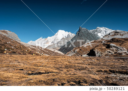 Landscape of golden arid field with limestone Landscape of golden arid field with limestone 50289121