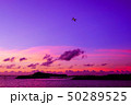 沖縄夏の夕日 50289525