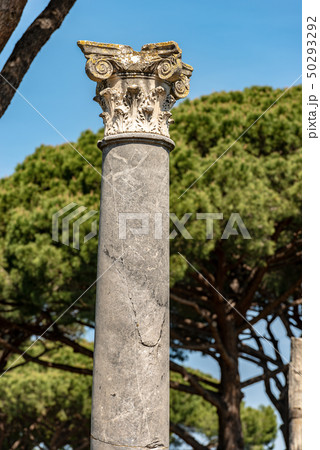 Column in Corinthian style - Ostia Antica Rome 50293292