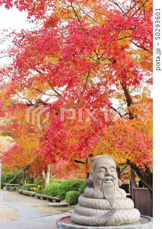 三室戸寺 秋 三室戸寺 秋 50293601