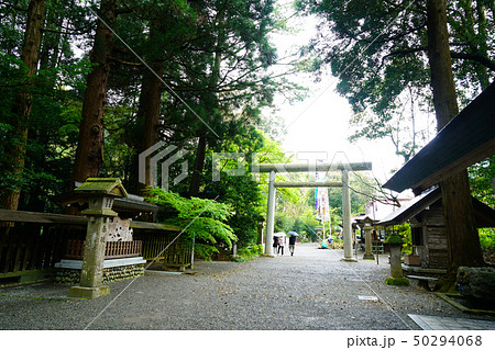 天岩戸神社　宮崎県 50294068